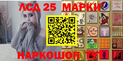 гашик Можга