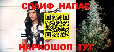 гашик Можга