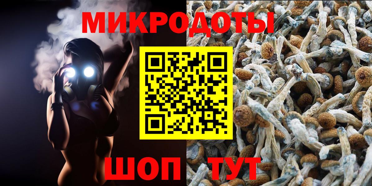 Моршанск  Псилоцибиновые грибы Psilocybine cubensis  Вход с VPN 