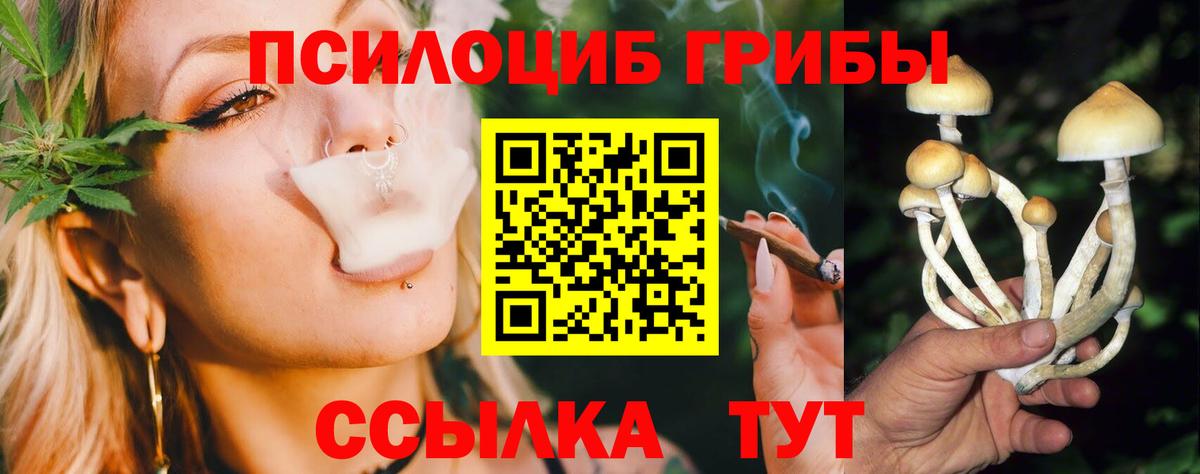 Галлюциногенные грибы Magic Shrooms Моршанск