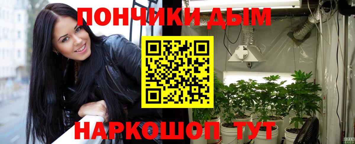Моршанск  Каннабис сатива  Вход с VPN  Бошки Шишки сатива  Каннабис OG Kush 