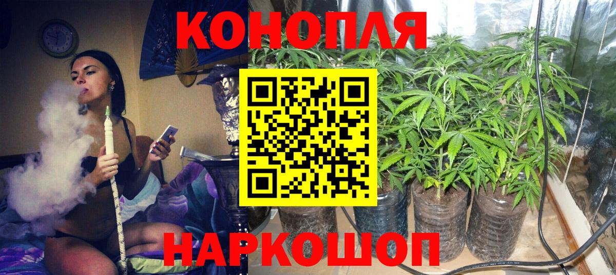 Марихуана марихуана Моршанск